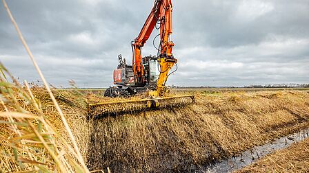 Korfmaaien waterschap Scheldestromen